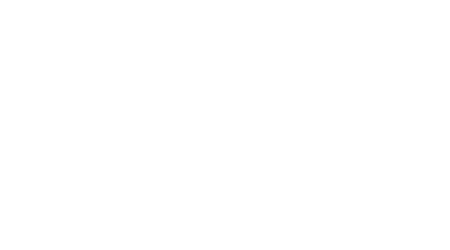Logo of BoltSizelt in White text